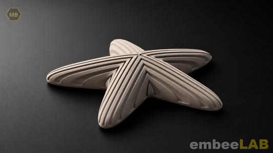 Starmi Seestern Deko in Sandbeige, gerippte 3D-Druck Dekoration
